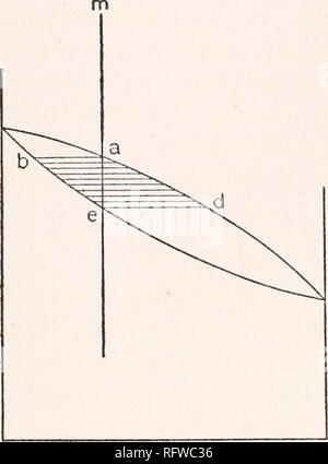 . Carnegie Institution di Washington la pubblicazione. 68 isomorfismo e proprietà termiche di feldspati. £. 100 Una composizione Fig. 22. 100 B leasing di calore latente non alzare la temperatura al di sopra di nuovo c). Una tale situazione è certamente inevitabile in miscele viscose come feldspati e conti molto bene per la solidificazione omogenea ob- servito da noi. Questo potrebbe classificare i feldspati con il tipo I di Rooze- boom di serie. Un confronto del nostro punto di fusione curva con le figg. 19, 20 e 21 mostra che questo sia il solo tipo in virtù del quale essa potrebbe diminuire. Non vi è alcuna traccia di una maxi- mamma Foto Stock