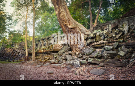 Beng Mealea o Bung Mealea tempio di mattina tempo. Siem Reap. Cambogia. Panorama Foto Stock