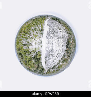 Panorama sferica di un bosco invernale Foto Stock