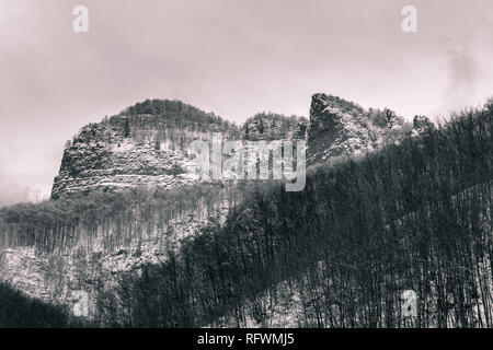 Drammatico, misty, visualizzazione bianco e nero su uno sfondo Vette appuntite coperte da neve in primo piano e la foresta di alberi con foglie di n. Foto Stock