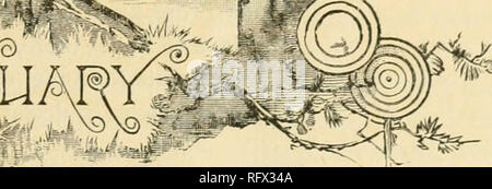 . Il canadese del giardiniere [mensilmente], 1892. Il giardinaggio; Canadian periodici. ^y^ %I. Si prega di notare che queste immagini vengono estratte dalla pagina sottoposta a scansione di immagini che possono essere state migliorate digitalmente per la leggibilità - Colorazione e aspetto di queste illustrazioni potrebbero non perfettamente assomigliano al lavoro originale. Catharines, E. S. Leavenworth Foto Stock