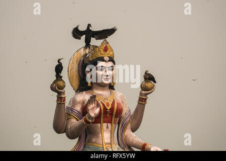 Cormorano indiano appollaiato sulla divinità Indù scultura sul Fiume Gange in Haridwar, Uttarakhand, India Foto Stock