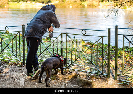 Roma, Italia - 5 gennaio 2019: uomo e cane relax nel parco la visione di stagno Foto Stock