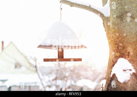 Bird Feeder appeso su un albero in inverno Foto Stock