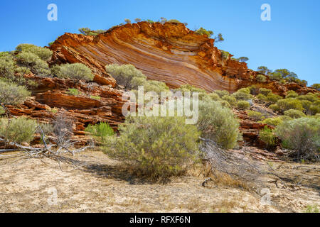 Escursioni a piedi attraverso il canyon. Nature finestra loop trail, kalbarri national park, Australia occidentale Foto Stock