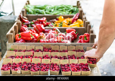 London, Regno Unito - 15 Settembre 2018: mercato di vicinato a Pimlico con persone di acquistare alimenti lamponi sulla strada a frutta e verdure fresche fornitore Foto Stock