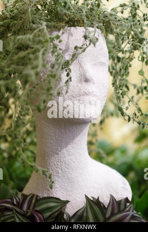 Curly rametti di fiori per interni appaiono come i capelli sulla testa di una ragazza. Pentola per houseplants realizzato sotto forma di una testa di una bella ragazza Foto Stock