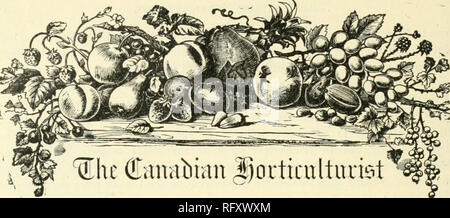 . Il canadese del giardiniere [mensilmente], 1893. Il giardinaggio; Canadian periodici. Prezzo di sottoscrizione, $1,00 all'anno, entitlng l'abbonato all'appartenenza ot i coltivatori di frutta " Associazione di Ontario e tutti i suoi privilegi, compresa una copia della sua pregevole relazione annuale ed una quota nella sua distribuzione annuale delle piante e alberi. Le rimesse inviate mediante lettera raccomandata sono a nostro rischio e pericolo. Entrate sarà riconosciuto all'etichetta indirizzo. Note e commenti. Il Bar Seckel è una nuova pera che ha avuto origine con Jacob Moore, combina la dimensione del Bartlett con molto quasi il sapore Seckel. [T La Bril Foto Stock