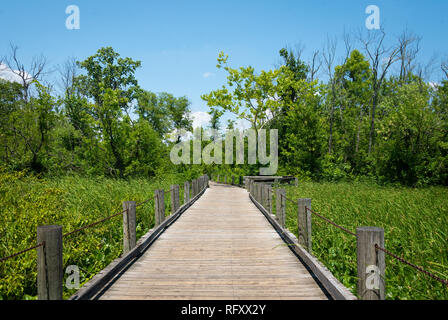 Il Monte Vernon Trail, in Alexandria, Virginia Foto Stock