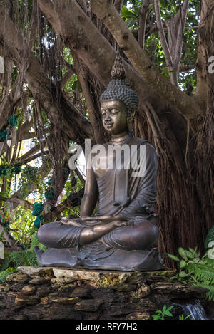 Thai antica statua del Buddha seduto sotto il bodhi tree. Foto Stock