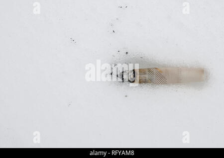 Usato sigaretta sulla neve bianca dello sfondo con la cenere. Stagione invernale all'esterno. Divieto di fumare e gettare le sigarette per terra. Limitare la tua addic Foto Stock