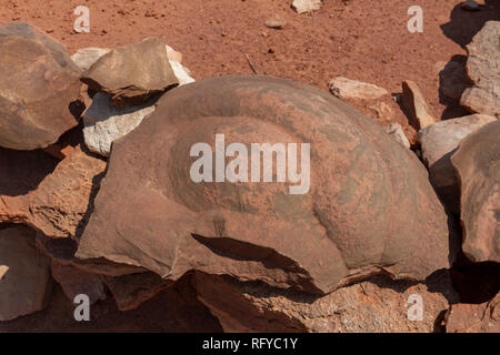 Concrezioni geologiche, Moenkopi tracce di dinosauri sito nelle vicinanze di Tuba City, Arizona, Stati Uniti. Foto Stock