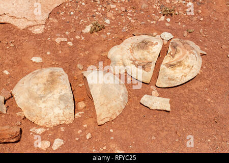 Concrezioni geologiche, Moenkopi tracce di dinosauri sito nelle vicinanze di Tuba City, Arizona, Stati Uniti. Foto Stock