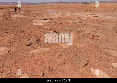 Vista generale di tutta la Moenkopi tracce di dinosauri sito nelle vicinanze di Tuba City, Arizona, Stati Uniti. Foto Stock