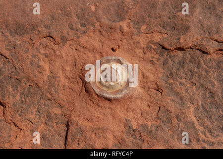 Ferro da stiro concretezza, Moenkopi tracce di dinosauri sito nelle vicinanze di Tuba City, Arizona, Stati Uniti. Foto Stock