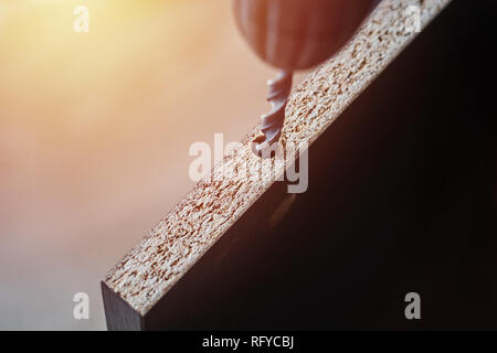 Processo di drillig legno con punta da trapano close up Foto Stock