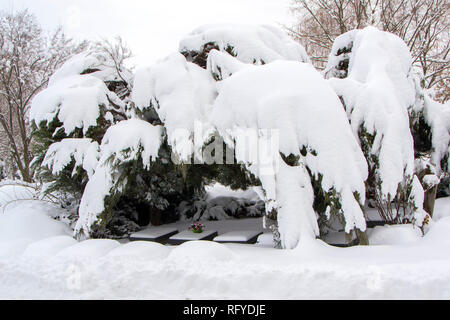 Un grave posto in inverno con fiori su un oggetto contrassegnato per la rimozione definitiva Foto Stock