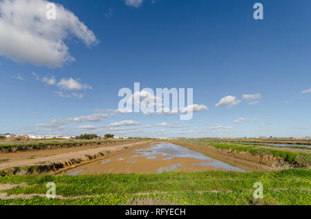 Le saline, salmastra, sale di stagno di evaporazione, Tavira, Portogallo, Europa. Foto Stock