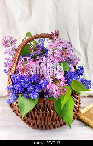 Fiori lilla in un cesto di vimini. Tempo di primavera Foto Stock
