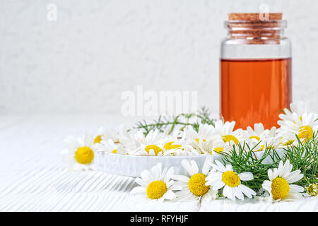 Olio essenziale in una bottiglia di vetro con freschi Fiori di camomilla. Medicina alternativa concetto su un bianco tavolo in legno (fuoco selettivo). Foto Stock