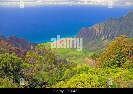 Guardando verso il basso il Kalalau si affacciano sulla costa di Na Pali di Kauai Foto Stock