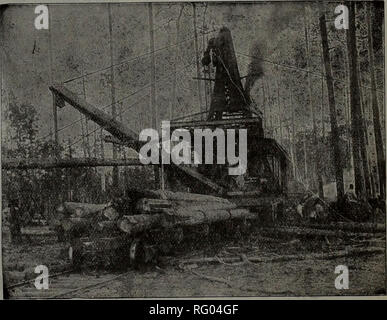 . Canadian Forest industries 1910. Macchinoso; le foreste e la silvicoltura; prodotti di foresta; polpa di legno Industria; legno-utilizzando industries. Il pattinamento ceppi sono assorbite dal ragazzo linee. Il braccio oscillante è azionato mediante funi metalliche che passano attraverso le pulegge sospese da un telaio in acciaio sporgente dalla torre e che conduce a due tamburi di carico sul motore, con- trollata mediante una leva. La macchina viene sollevata o abbassata da idraulico o ingranaggio brevettato martinetti. Costruito per 2 o 4 linee con rigido o a braccio oscillante, costruito interamente in acciaio, ad eccezione del braccio di carico. È senza dubbio la più forte e la macchina più veloce del da Foto Stock