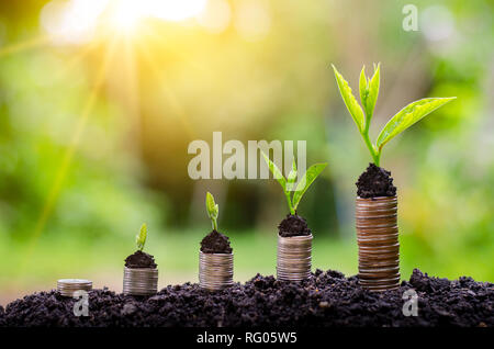 La crescita di denaro per un risparmio di denaro. Albero superiore monete al concetto illustrato ai cambiamenti di un business in espansione Foto Stock