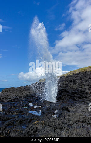 Poco blowhole nel pittoresco villaggio di Kiama vicino a Jervis Bay su un moody giornata di primavera con fontana di acqua Jervis Bay, Australia Foto Stock