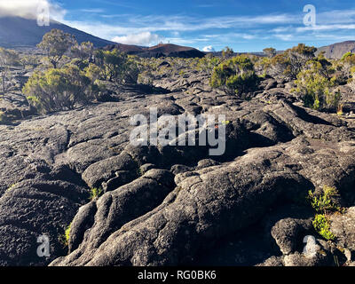 Valle del Piton de la Fournaise Foto Stock