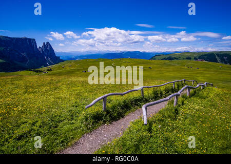 Collinare della campagna agricola con verdi pascoli a Alpe di Siusi, Alpe di Siusi, il monte Sciliar, dello Sciliar, a distanza Foto Stock