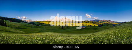 Vista panoramica sulla zona collinare della campagna agricola con verdi pascoli a Alpe di Siusi, Alpe di Siusi, la montagna Sassopiatto, Sasso Piatto, nel dista Foto Stock