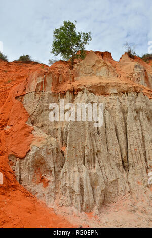 Le pareti del canyon di una sezione del flusso di fata (Suoi Tien) in Mui Ne, Binh Thuan Provincia, Vietnam Foto Stock