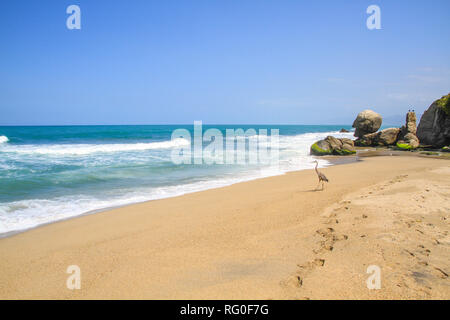 Panorama di una solitaria spiaggia presso l'unica spiaggia di Barlovento house presso la costa caraibica della Colombia nei pressi di Barranquilla e il Parco Nazionale Tayrona Foto Stock