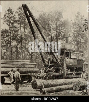 . Canadian Forest industries Gennaio-Giugno 1912. Macchinoso; le foreste e la silvicoltura; prodotti di foresta; polpa di legno Industria; legno industrie utilizzatrici. Il più economico in tutto il carico della macchina è il vecchio affidabile registro McGlFFERT LOADER fatta con stazionari o braccio di oscillazione. Esso è anche dotato di quattro ruote girevoli, carrelli per uso su light rail questi carrelli di rimanere sempre in posizione orizzontale quando viene sollevato e tornare a squadra per la via quando è abbassata. Inviare per il catalogo. CLYDE Iron Works, Duluth, DCIM., U.S.A. CHICAGO, ill. 318 Fisher Bldg C-i" succursali a New Orleans, LA. 421 Garondelet San SAV Foto Stock