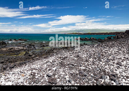 Striscia costiera sulla Big Island delle Hawaii con un lone palm a distanza Foto Stock