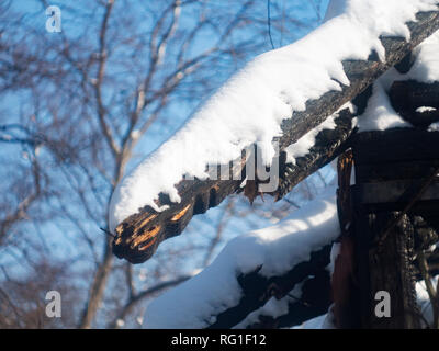 Foto di una casa bruciata in inverno. Travi carbonizzati di una casa in legno. Bruciato a casa. Foto Stock