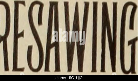 . Canadian Forest industries 1907. Macchinoso; le foreste e la silvicoltura; prodotti di foresta; polpa di legno Industria; legno industrie utilizzatrici. 3* IL CANADA LUMBERMAN E FALEGNAME PER MACCHINE SPECIALI VENDITA Larsre pompa centrifuga e Pulsometer, in prima classe, condizione completa di toot-la valvola ed il tubo flessibile; nessuna offerta ragionevole rifiutata. Vite tornio di taglio. 10 ft. letto 16" swing, molto poco utilizzati; in ottime condizioni, u possibilità di fissare bene detestava moderno a un affare. Anche grandi trapano e Slotter, 14",Swing in prima classe a condizione di auto-lubrificazione motore Peerless, 75 h.p.. anche di dimensioni più piccole di marche diverse. Foto Stock