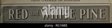 . Canadian Forest industries 1910. Macchinoso; le foreste e la silvicoltura; prodotti di foresta; polpa di legno Industria; legno industrie utilizzatrici. . Si prega di notare che queste immagini vengono estratte dalla pagina sottoposta a scansione di immagini che possono essere state migliorate digitalmente per la leggibilità - Colorazione e aspetto di queste illustrazioni potrebbero non perfettamente assomigliano al lavoro originale. Don Mills, Ont. : Southam pubblicazioni aziendali Foto Stock
