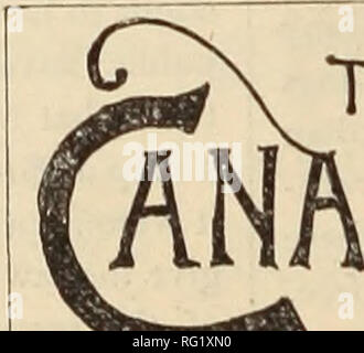 . Canadian Forest industries 1886-1888. Macchinoso; le foreste e la silvicoltura; prodotti di foresta; polpa di legno Industria; legno industrie utilizzatrici. . Si prega di notare che queste immagini vengono estratte dalla pagina sottoposta a scansione di immagini che possono essere state migliorate digitalmente per la leggibilità - Colorazione e aspetto di queste illustrazioni potrebbero non perfettamente assomigliano al lavoro originale. Don Mills, Ont. : Southam pubblicazioni aziendali Foto Stock