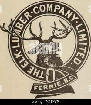. Canadian Forest industries 1907. Macchinoso; le foreste e la silvicoltura; prodotti di foresta; polpa di legno Industria; legno industrie utilizzatrici. MNUFACTURERS di larice, abete e pino che lancia di legname stock 0/ ben stagionati materiale sempre a portata di mano. I piccoli ordinativi dato tempestiva attenzione. Ufficio Hesxd: MAYOOK, B.C. - Ufficio di Winnipeg: Blocco Bulman Canadese Pacific Timber Company, Limited Produttori di ruvido e vestito legname, assicella, stampaggio, ecc. Cedro, la cicuta e pino e cedro listello. Indirizzo . . NELSON, B.C. PRTER LCND, Managing Director. J. BRECKENRIDGE, Presidente. nrows Nest Pass v LllDer andare., limitata WflRDNER, B Foto Stock