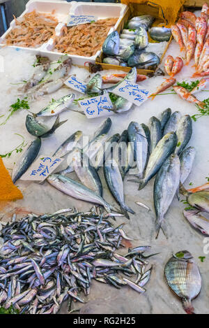 Pesce e frutti di mare al mercato della Vucciria di Palermo Foto Stock