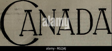 . Canadian Forest industries 1899-1901. Macchinoso; le foreste e la silvicoltura; prodotti di foresta; polpa di legno Industria; legno industrie utilizzatrici. . Si prega di notare che queste immagini vengono estratte dalla pagina sottoposta a scansione di immagini che possono essere state migliorate digitalmente per la leggibilità - Colorazione e aspetto di queste illustrazioni potrebbero non perfettamente assomigliano al lavoro originale. Don Mills, Ont. : Southam pubblicazioni aziendali Foto Stock