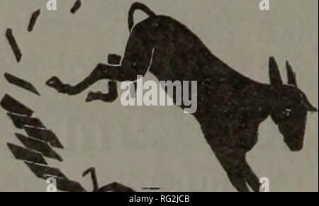 . Canadian Forest industries 1899-1901. Macchinoso; le foreste e la silvicoltura; prodotti di foresta; polpa di legno Industria; legno industrie utilizzatrici. IV. Canada Lumberman edizione settimanale Agosto 21, I LONDRA le importazioni di legname. I sigg. Churchill &AMP; Sim, ultima relazione per quanto riguarda le importazioni in a Londra, dire : di pino offerte provenienti da San Lorenzo l'importazione è stata 1,005,000 pezzi aUinst 408,000 pezzi nel 1900; e di abete rosso si occupa i,443,ooo piecesa^amst t jco 000 pezzi nel 1900. *Rpm New Brunswick l' importazione di pme| trattative è stata 176,000 pezzi;f" 640 piedi di hemlock, 22,820 piedi di pino,' 102,750 piedi di ceda Foto Stock