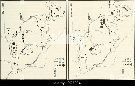 . Il campo Canadese-naturalista. 1984 BOONSTRA E SINCLAIR: Distribuzione e habitat di caribù e alci 17 * ^ """'^^N ^ . '^.. N '--x f ' VA''-, I' "^ Y r' / /^ /' " A y v ^ ' S-it*-x " z^^"''/ Vr • Jf^^X^^^^^^^ V * •&GT; * .^. -V ^ ^ 'f f ^ ^ "y 1 ' ' ''* y 1 ] &gt;7rJ!!L / /&GT;''^ /-""• r^ / ^^ o '^-- N -s -5 r ^ I - ^,- '^%i=:^^^ 1 ^ ..'-j 1 ^ '- c,^ 4 V^ 'n / L ;;^ -V-^""""^^-^^^ r'-'' y ^ ^ R^y * ^ / ^^ /^^ / / , / , •^" * ^f ( 1 J^^^^y^   / ^. Si prega di notare che queste immagini vengono estratte dalla scansione Foto Stock