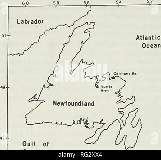 . Il campo Canadese-naturalista. 1990 Lien, Barry, Breeck e Zuschlag: Sowerby di balene dal becco 415 Davidsville. La Norris balena braccio non era stato disturbato e era intatto. Queste attività, il tempo tra la morte e l'esame e l'immediata meteo e condizioni ambientali, ha interessato la misura di esame delle balene morte. Procedure di esame come raccomandato dal Myrick (1986) e la lepre e Meade (1987) sono state seguite per quanto possibile; le misurazioni sono state fatte in seguito Leatherwood et al. (1982). L'invecchiamento degli animali è stata tentata da entrambi cross e longitudinalmente il sezionamento a a Foto Stock