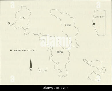 . Il campo Canadese-naturalista. 410 Il canadese Field-Naturalist Vol. 104. La figura 1. Mappa di Pierre grigio complesso dei laghi e la loro posizione in Alberta. Il Gpl inferiore = Pierre Lago grigio, MPG = Mezzo Pierre, lago Grey e UPG = superiore grigio Pierre Lago. in queste pubblicazioni]. Possibile laghi di donatori che non erano stati avvelenati hanno simili morph a questi laghi. La maggior parte sticklebacks nel lago a sud-est di Pierre superiore Lago grigio sono complete di scheletri pelvico e questo piccolo lago ha tre specie di ciprinidi che sono nel Lago Superiore. La maggior parte di quelli nel lago in una valle poco profonda per il sud Foto Stock