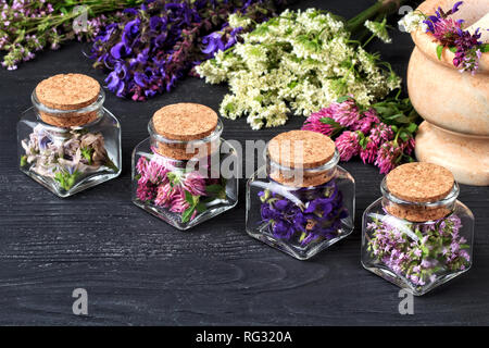 Set di erbe curative.di timo fresco, salvia, achillea, cicoria e trifoglio rosso cantato in bottiglia. Medicina alternativa concetto su tavoli in legno nero(selective Foto Stock