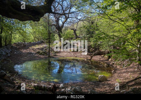 Piccolo laghetto, luogo di irrigazione per gli ovini in primavera nei pressi di Sream (isola di Cres, Croazia) Foto Stock