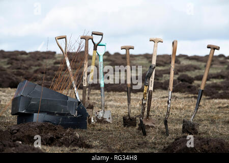 Venerdì 23 Marzo 2018: i primi alberi piantati in Inghilterra più grande foresta per più di trenta anni a Doddington Nord Moor Foto Stock