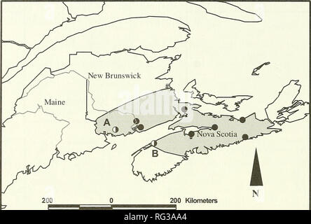 . Il campo Canadese-naturalista. 402 Il canadese Field-Naturalist Vol. 118. L^ Figura 2. Intervallo suggerito di Sorex maritimensis, comprese le collezioni qui descritti. A indica la posizione del San Giorgio raccolta, New Brunswick. B indica la posizione delle Belle Isle collezione. Nova Scotia. Luoghi storici, indicati da puntini solido, sono stati presi da van Zyll de Jong (1983b). Noi non abbiamo trovato alcuna extralimital collezioni dato che la pubblicazione. Questi campioni sono stati acquisiti mediante Victor® Mu- seum speciali (n = 5) e Victor® trappole di ratto (n = 1) innescata con una miscela di burro di arachidi, fiocchi d'avena Foto Stock